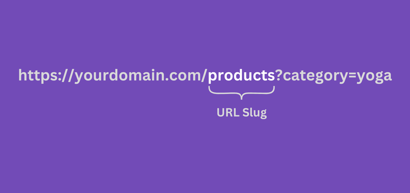 An example of a URL slug with URL parameters