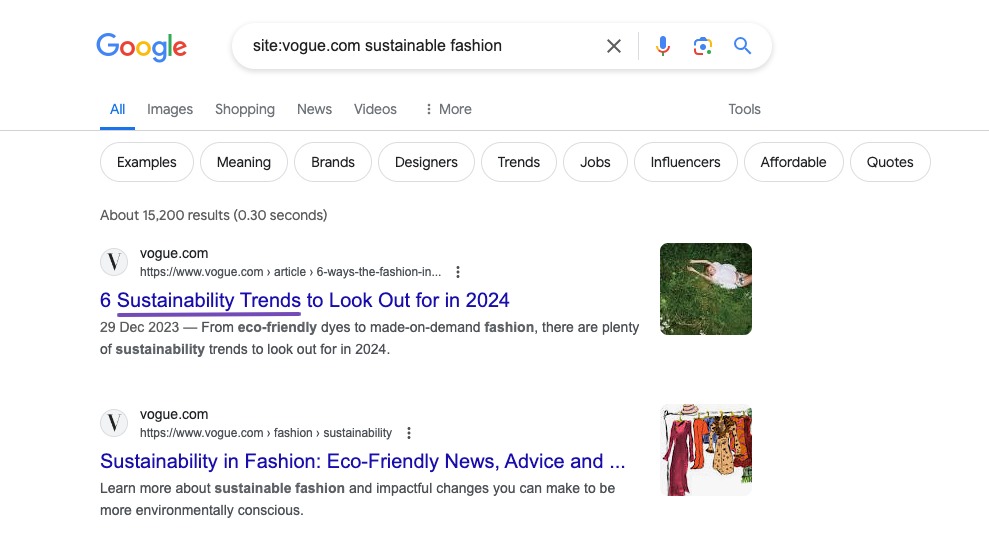 Using site search to identify relevant keywords