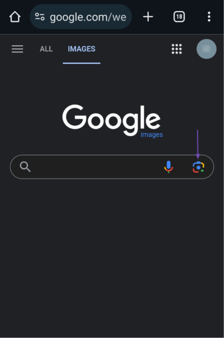 The Google Search by image icon for mobiles
