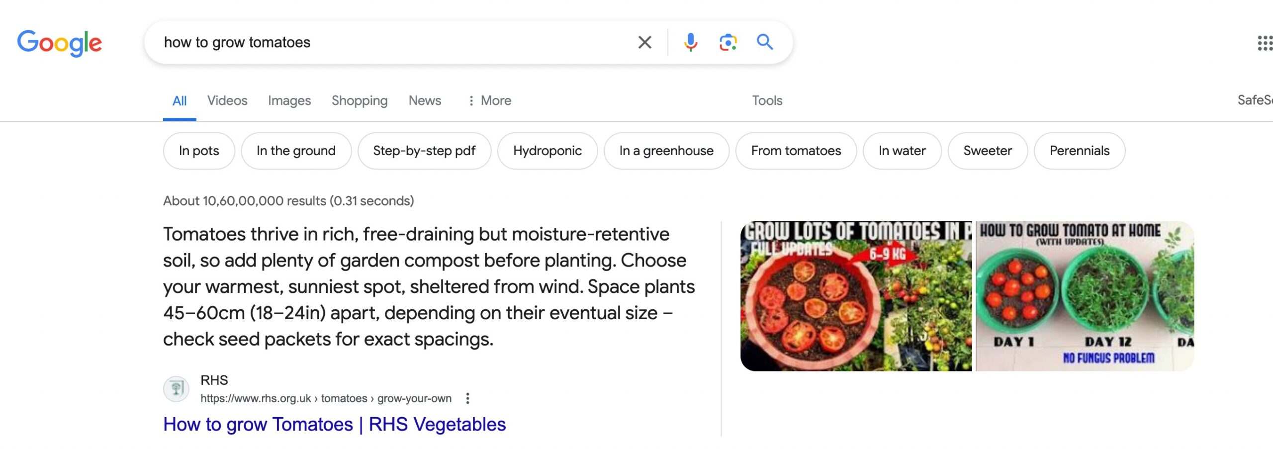 Featured Snippet example