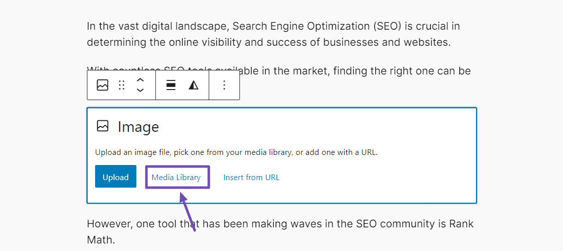 Selecting the WordPress Media Library option