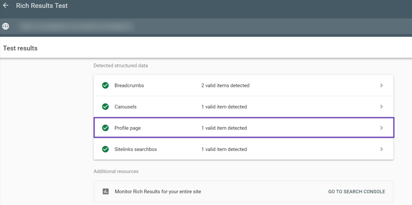 Google's Rich Results Test tool result for ProfilePage Schema