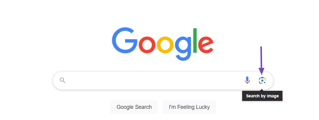 Google Search by image icon
