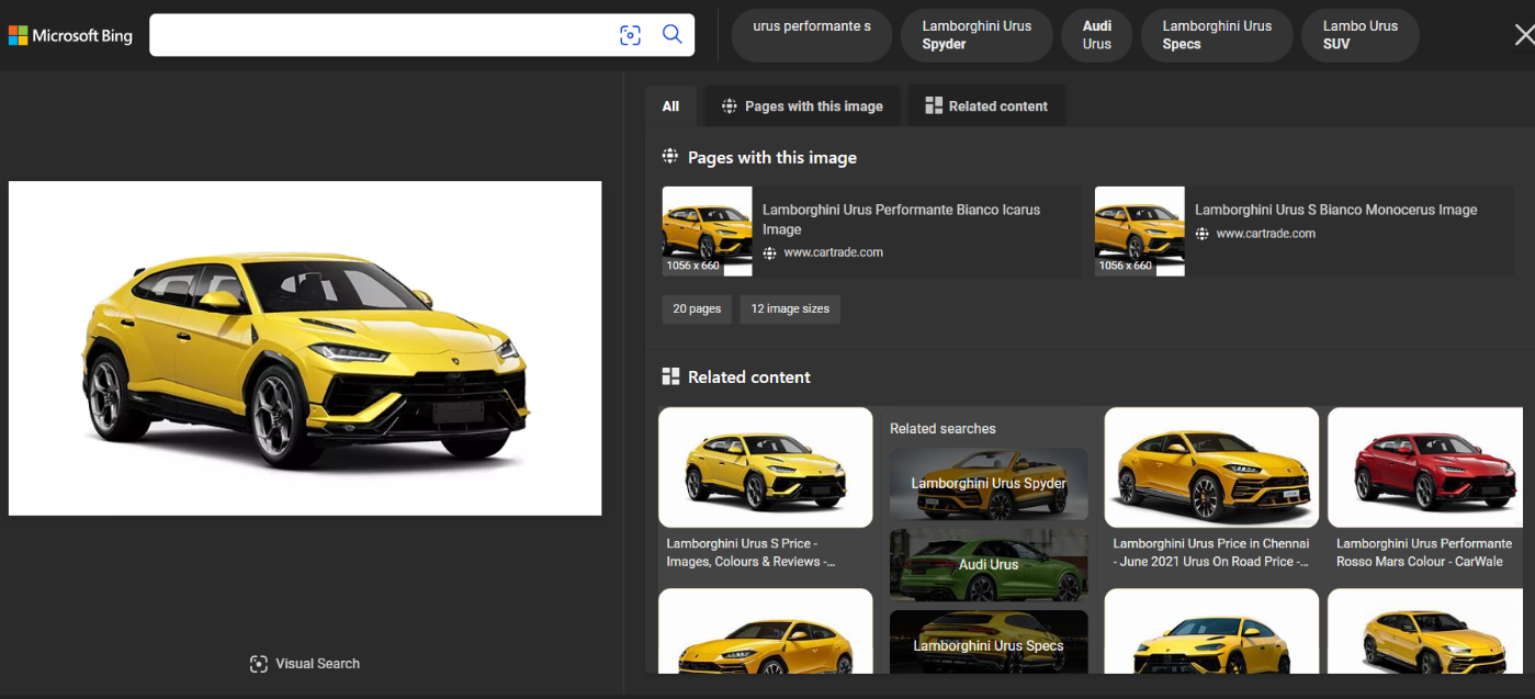Microsoft Bing displays similar images on reverse image search- Desktop