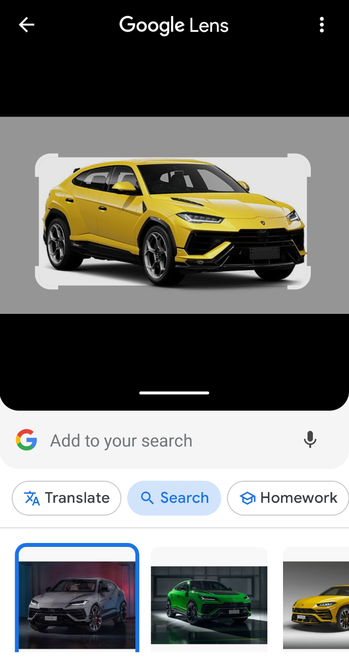 Google Lens scanning an uploaded image and generating search results that include similar images
