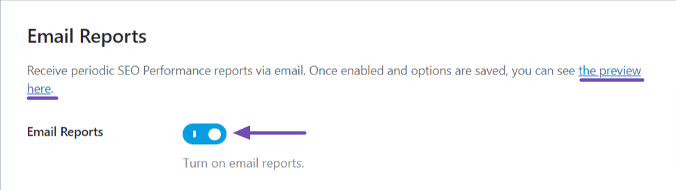 Email Reports option in Rank Math