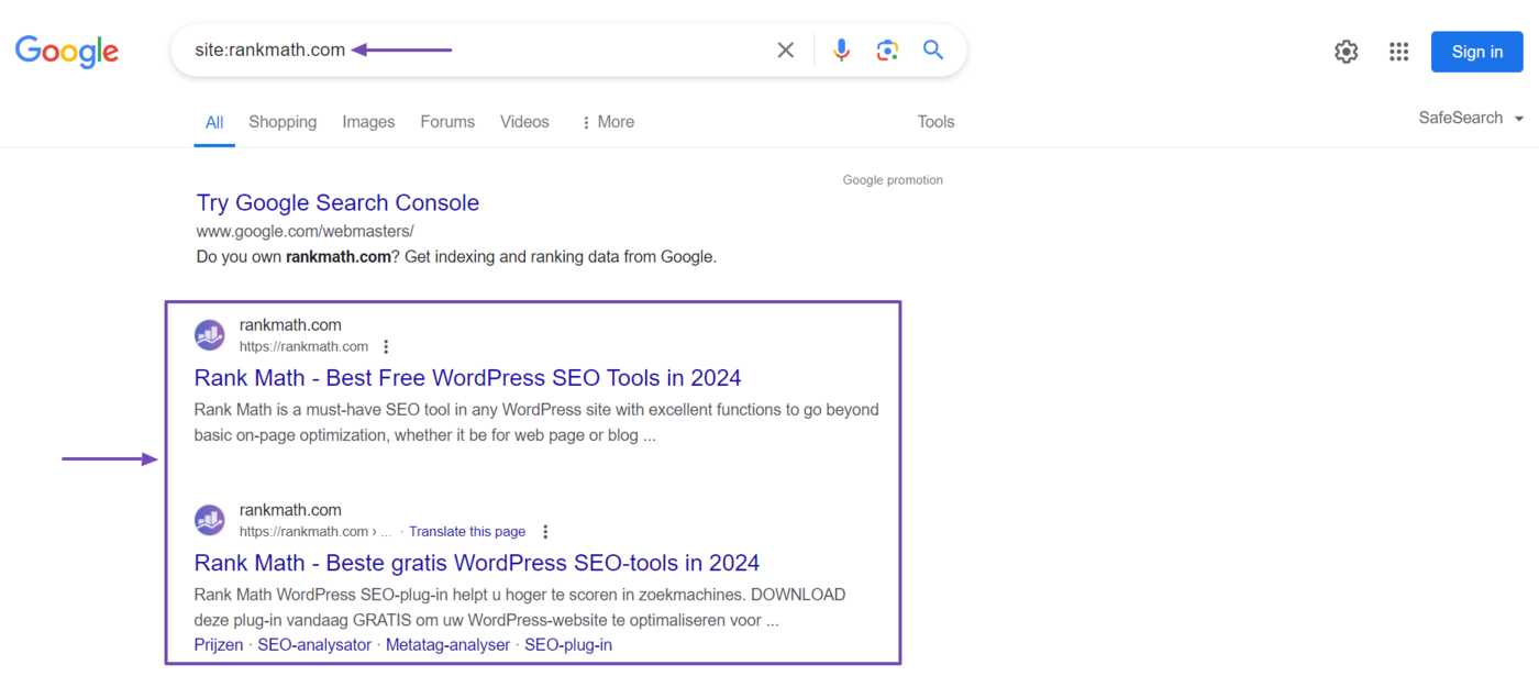 Sample of an indexed site on a search results page