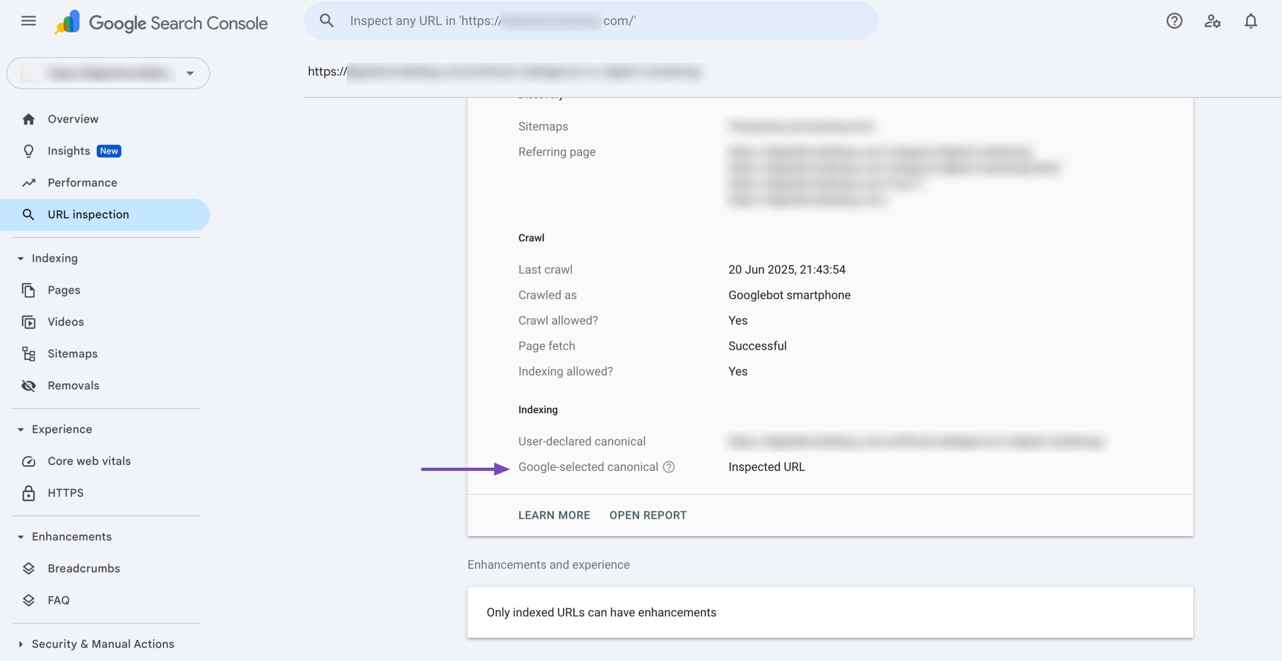 Google selected canonical