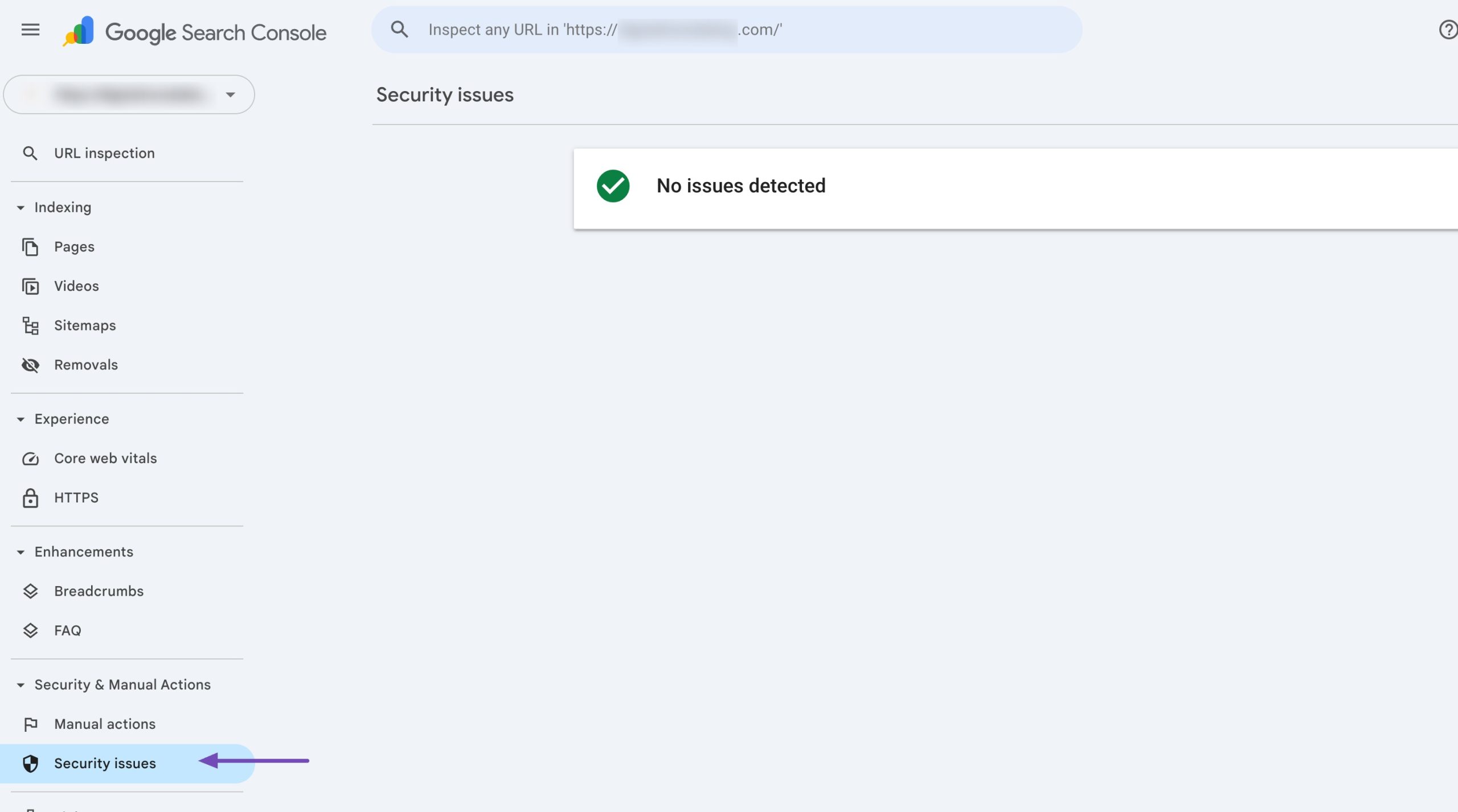 Check Security issues in GSC