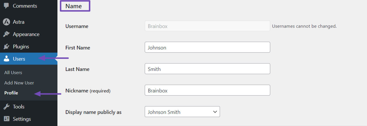 Name section in WordPress Profile settings