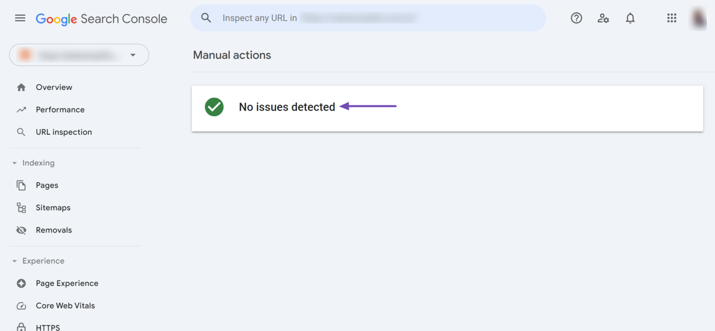 Sample of the Manual actions section of the Google Search Console