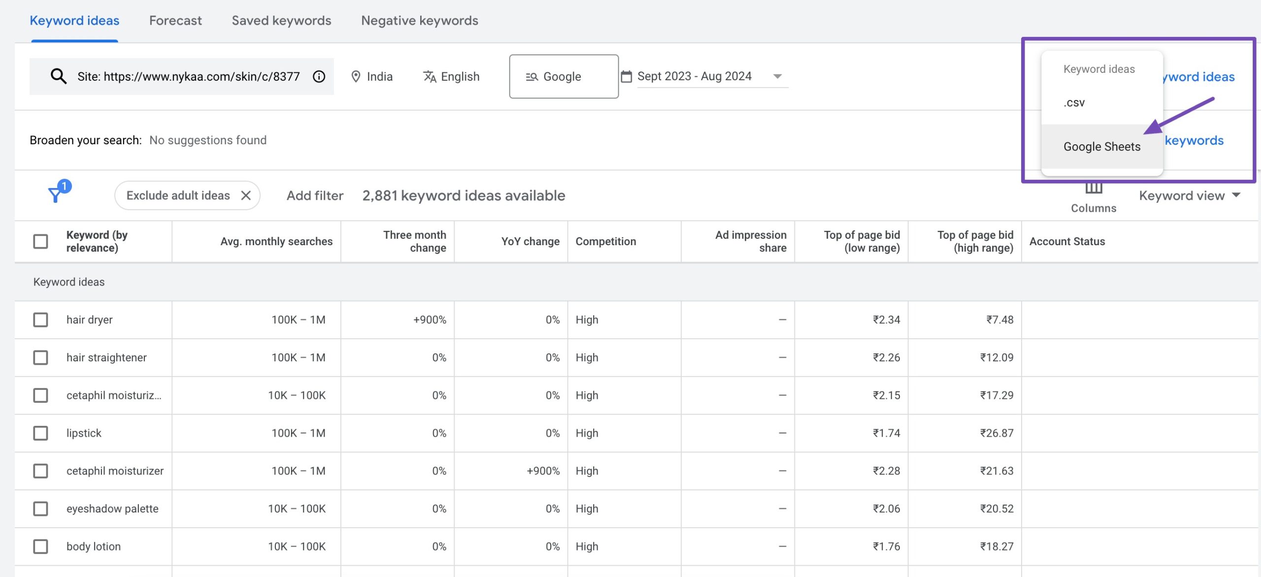 Download keyword ideas to Google Sheets