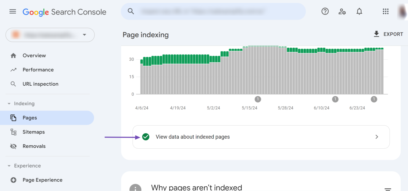 Click View data about indexed pages for more insights into your indexed pages