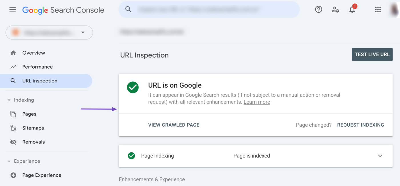 Overview of the Indexing status in the Search Console