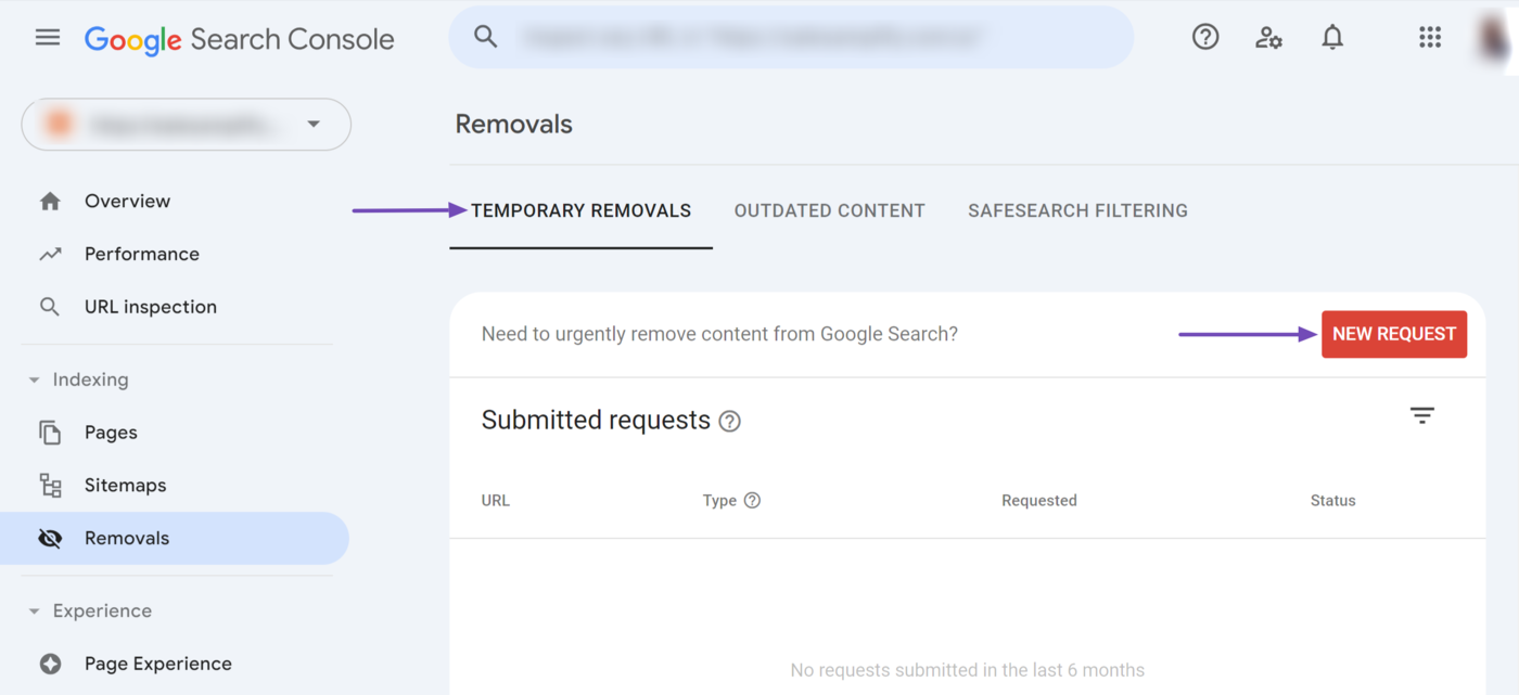 The Temporary Removals tool in Google Search Console