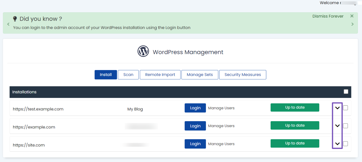 WordPress Management page