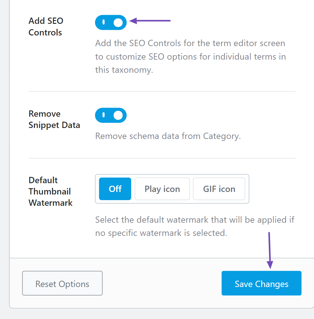 Enable Add SEO Controls