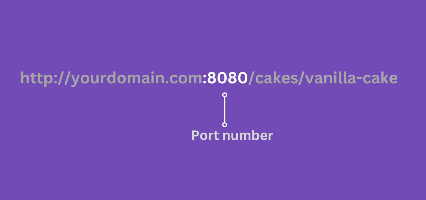 Example of a port number in a URL