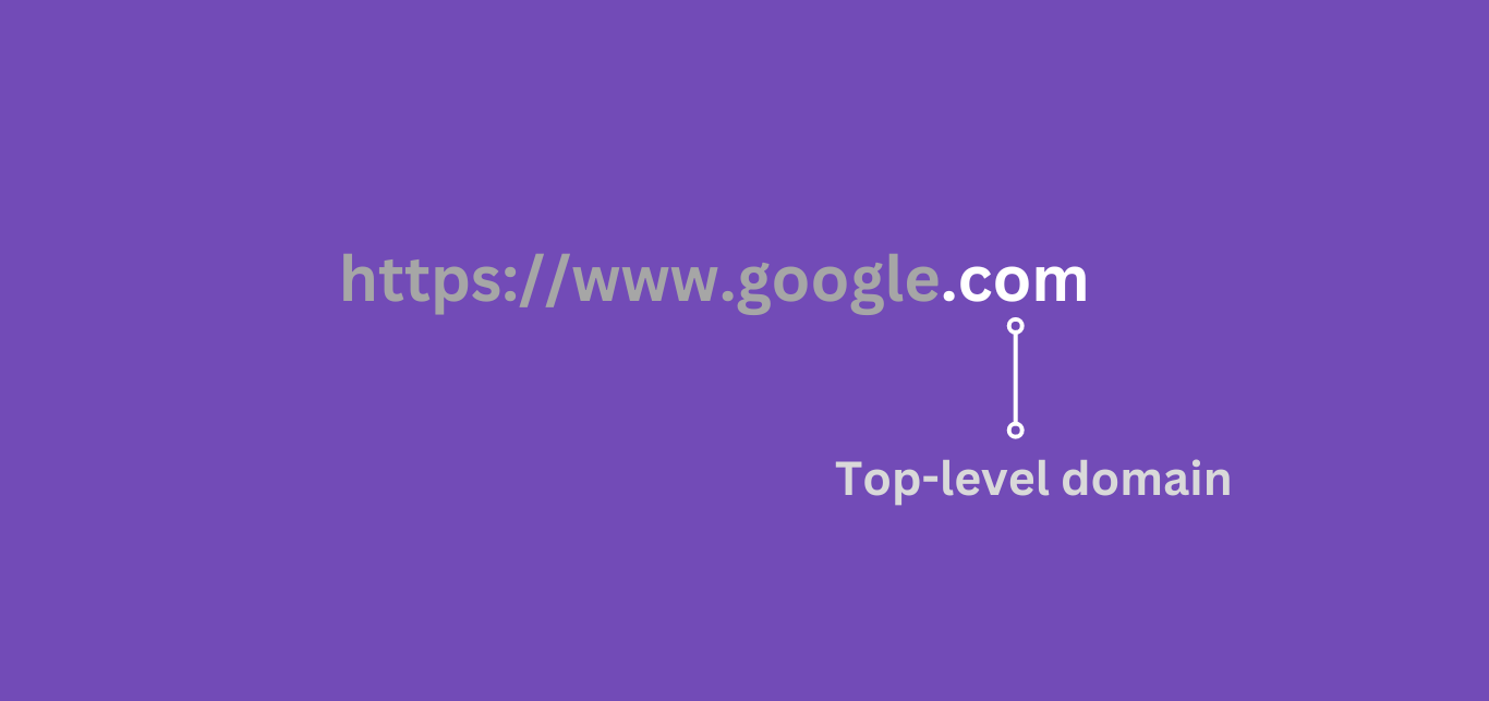 Example of a top-level domain in a URL