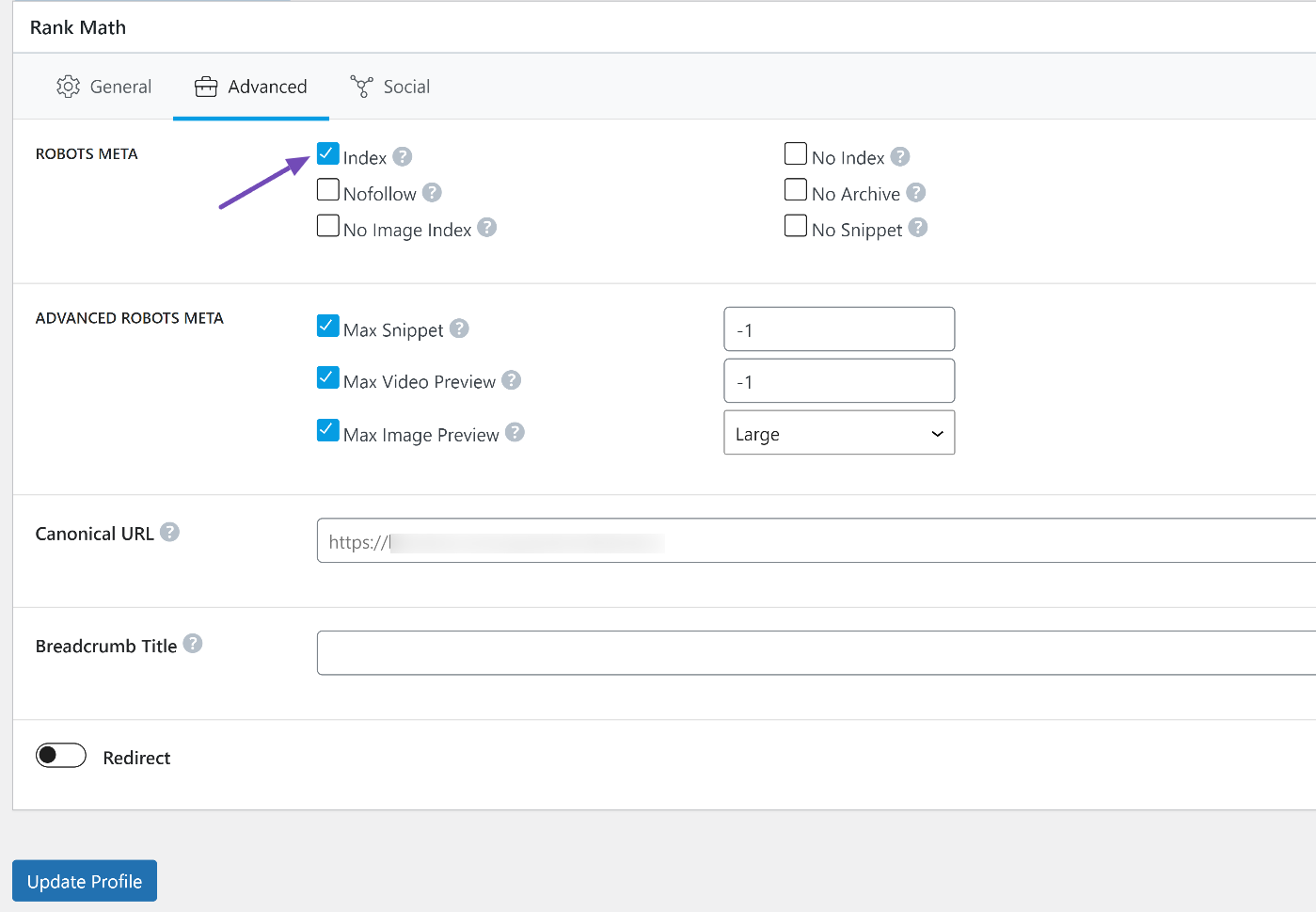 Switch to index in Advanced tab