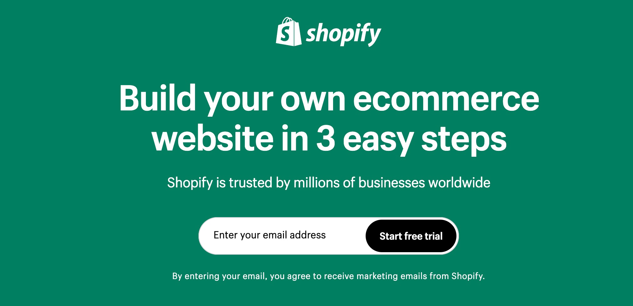 example of Shopify website for SEO leads