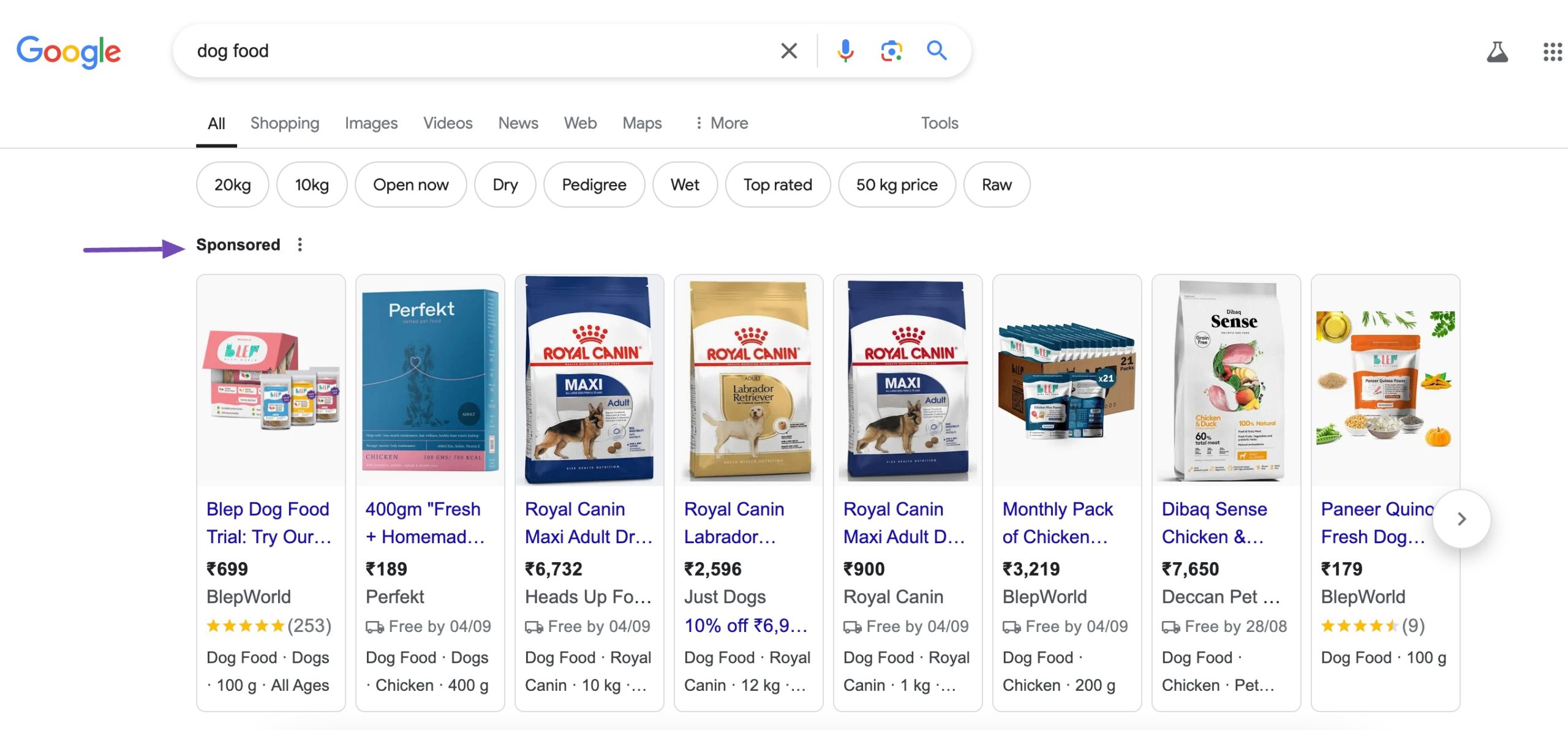 Sponsored example in SERP