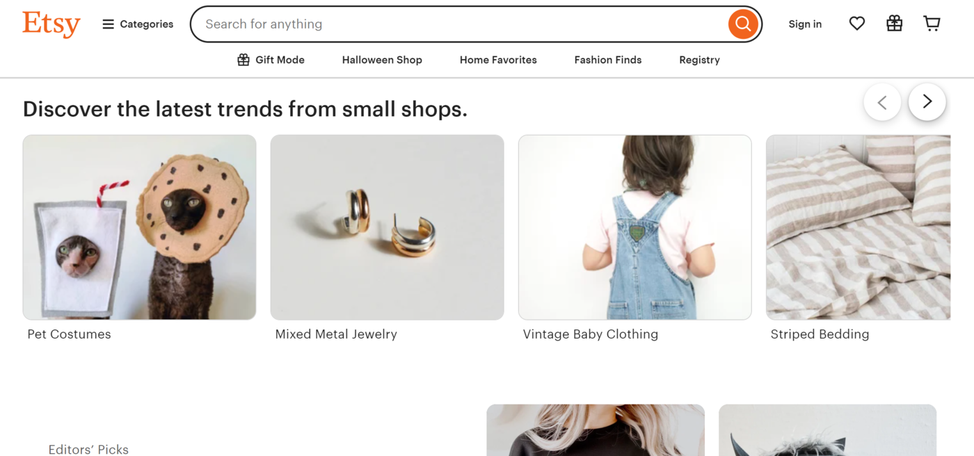 Image of the Etsy vertical search engine