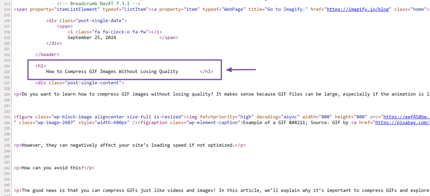 Sample of the H1 tag in the source code