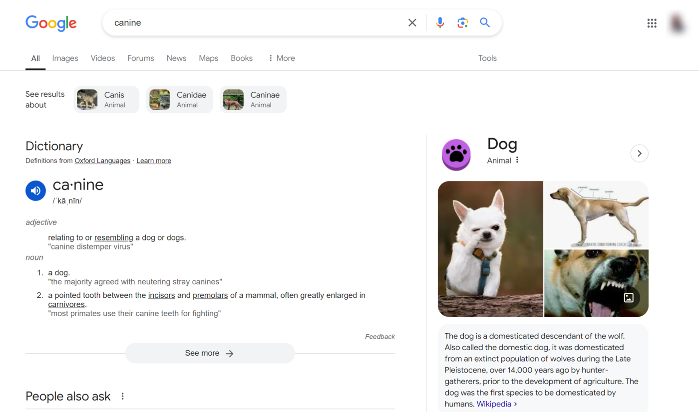 Search results for dog shows up when you search for canine