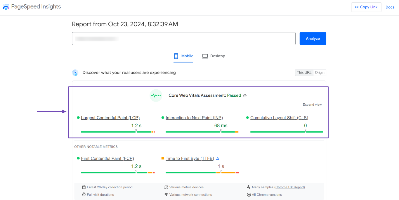 Sample of the Core Web Vitals displayed by PageSpeed Insights