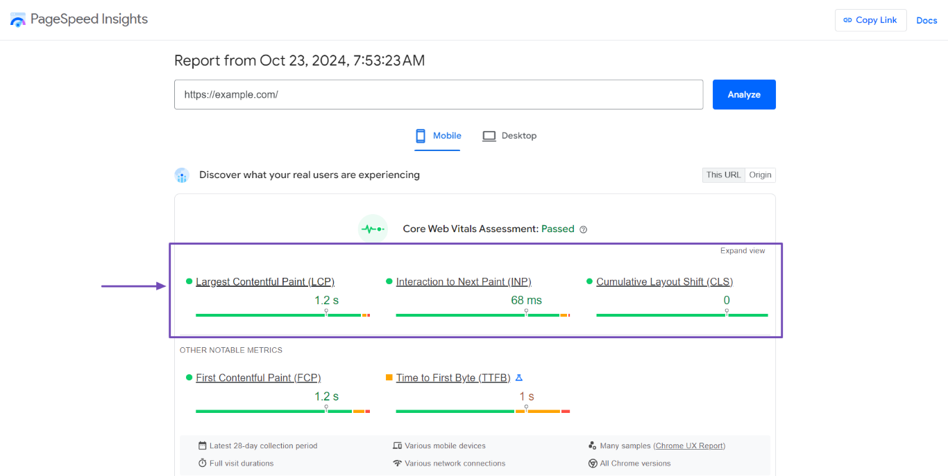 Sample of the Core Web Vitals metrics