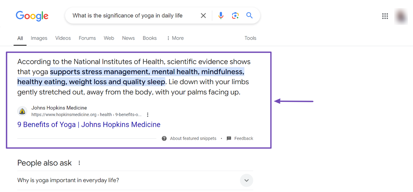 Sample of the paragraph snippet on search results pages