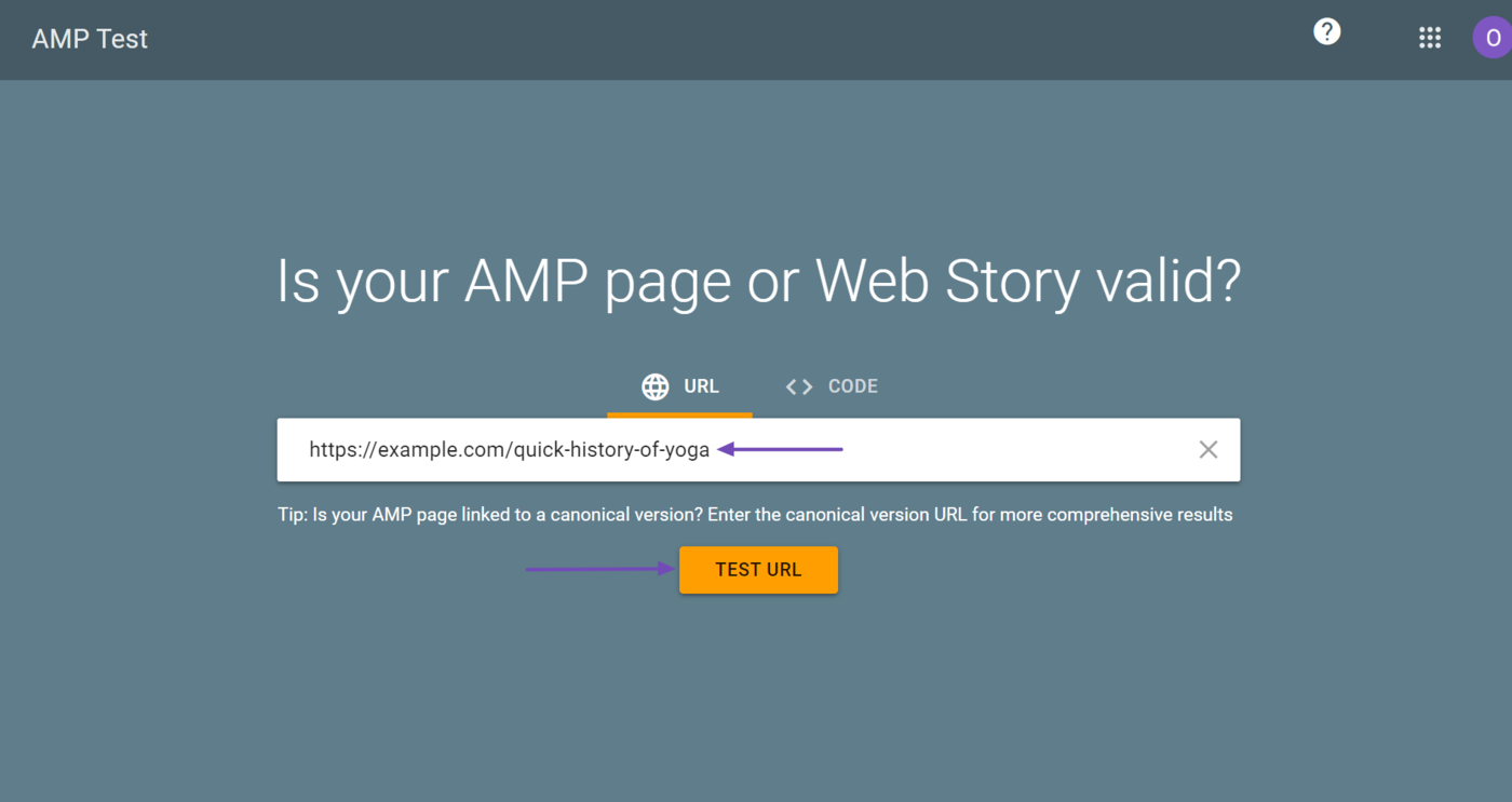 Enter your web stories into the available field and click Test URL