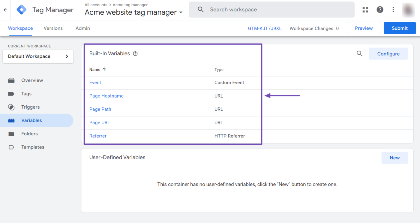 Sample of the variable in Google Tag Manager