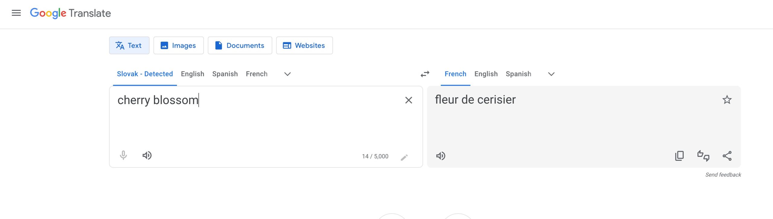 Google Translate