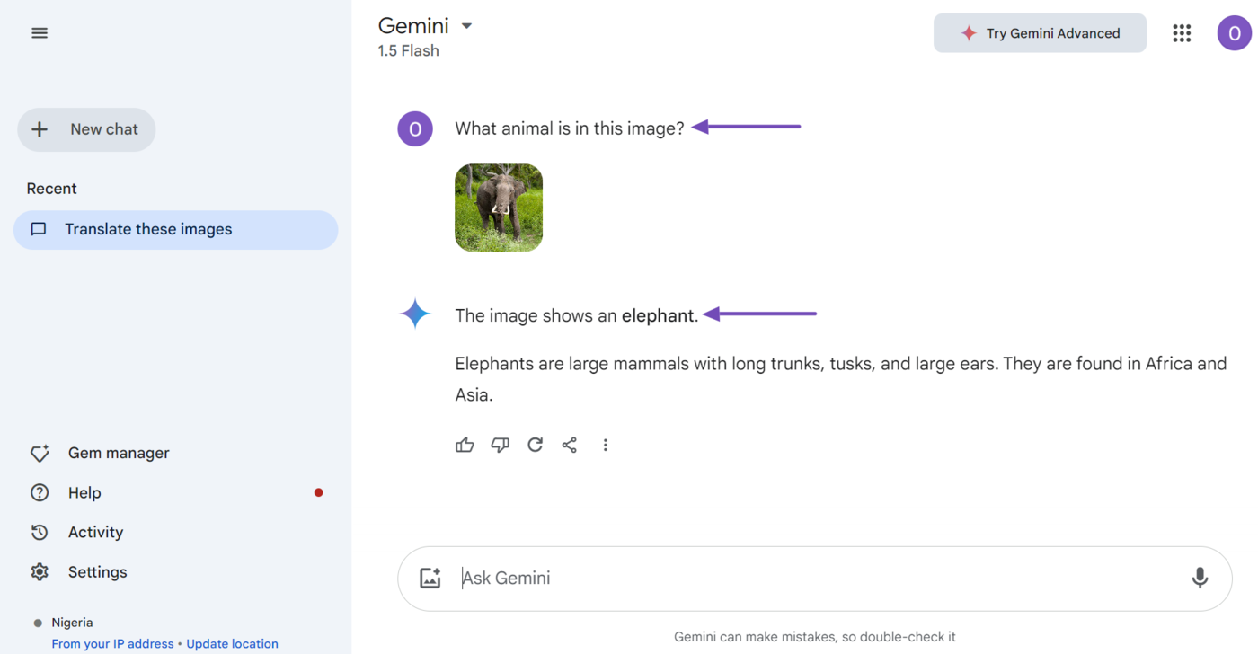 Sample of Gemini identifying an object in an image