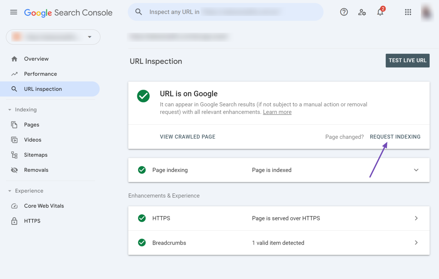 Sample of the Request Indexing field