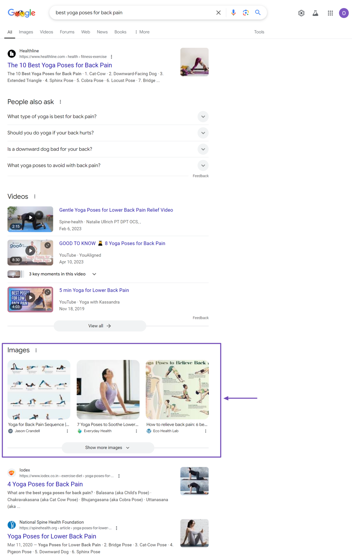 Sample of the image results on a search engine results page