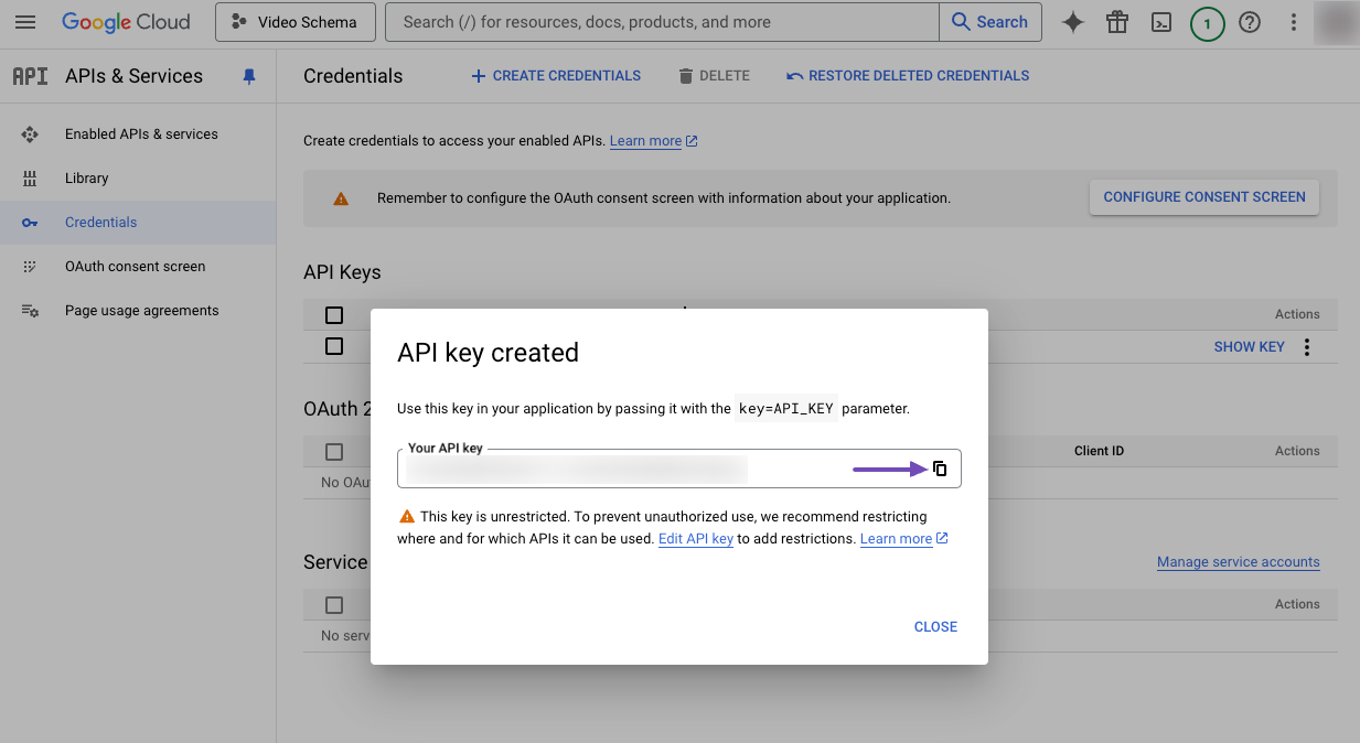 Copy API Key