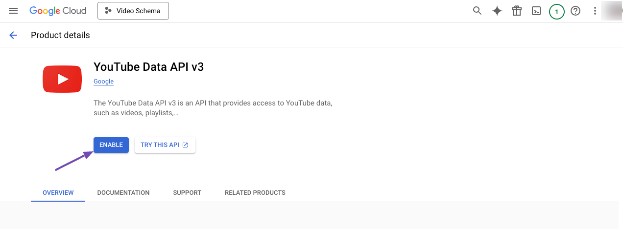 Enable YouTube Data API