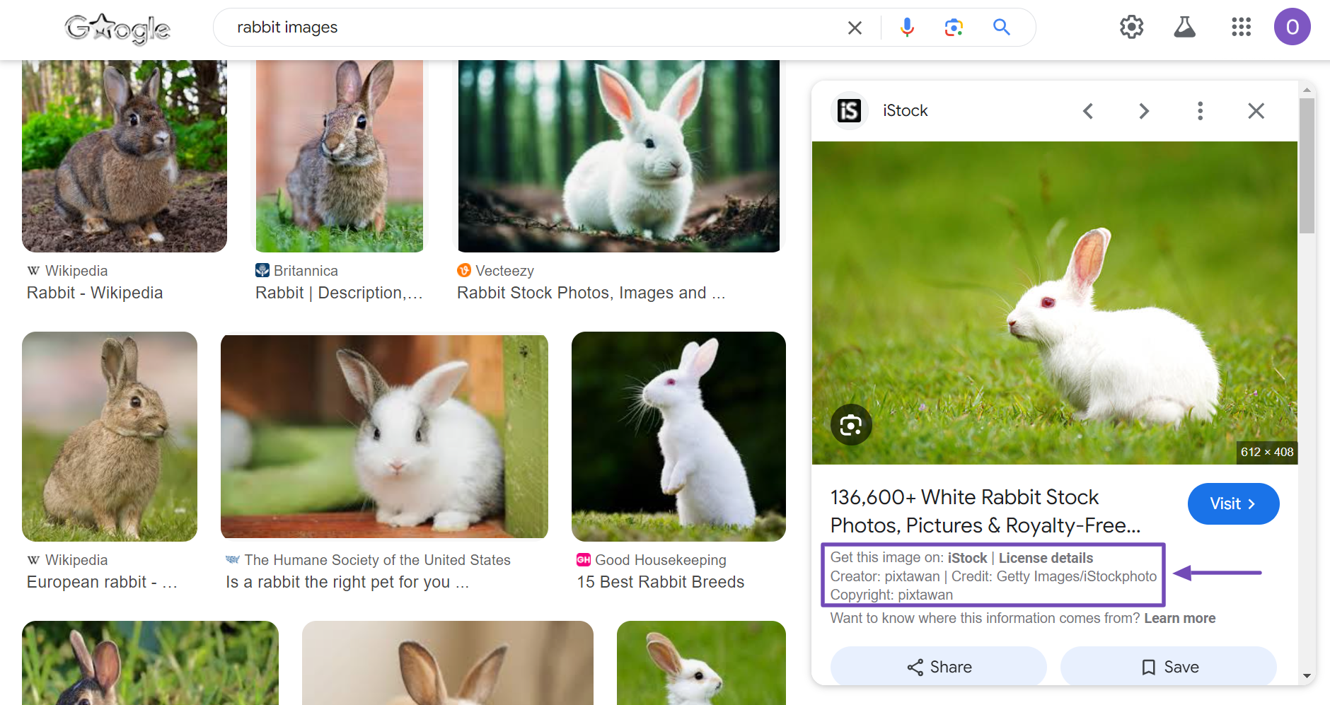 Google uses the Image Schema markup to display licensing details