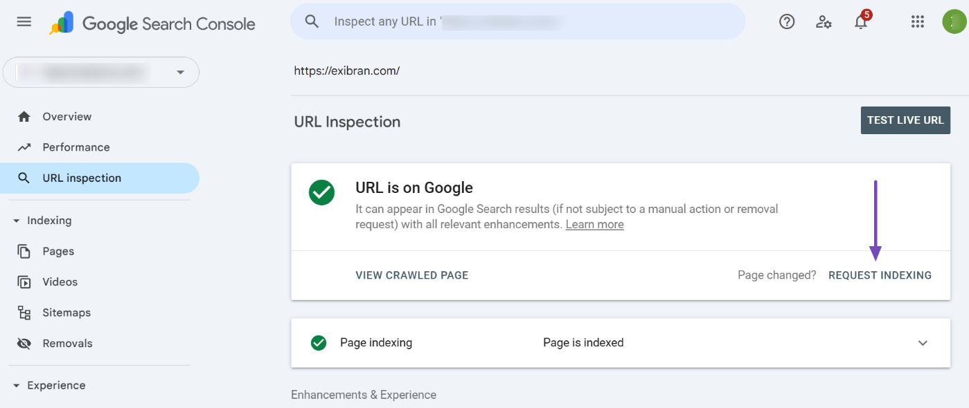 Click Request Indexing