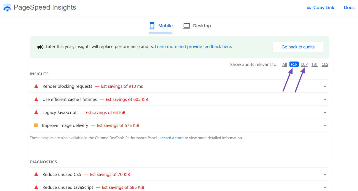 Click the FCP and LCP options in the Performance field