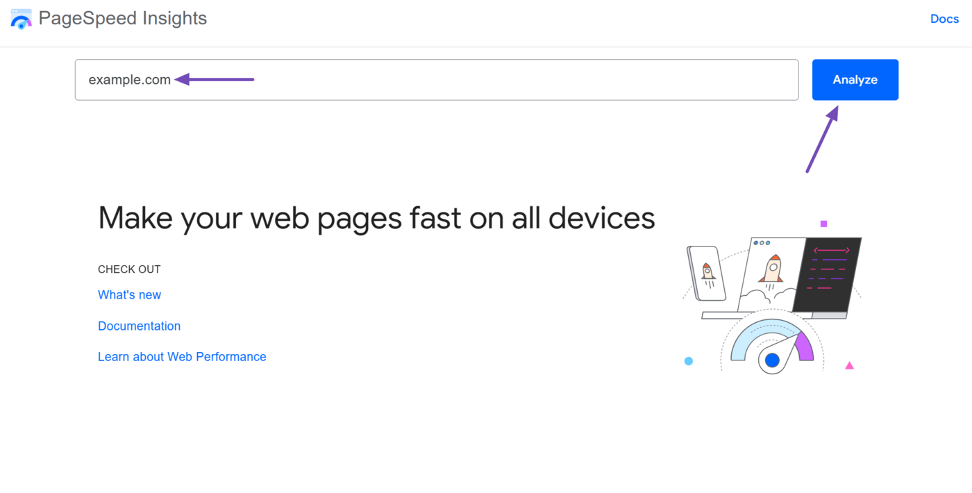 Enter the URL into the PageSpeed Insights tool