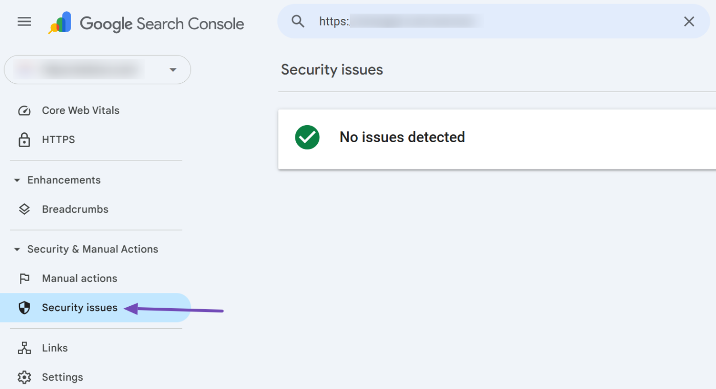 GSC security issues section