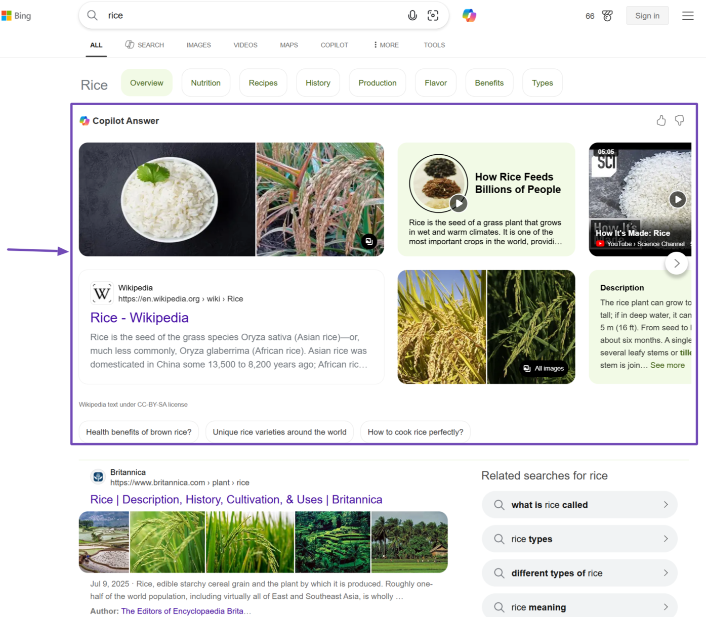 Sample of AI Overviews on Bing Search results pages