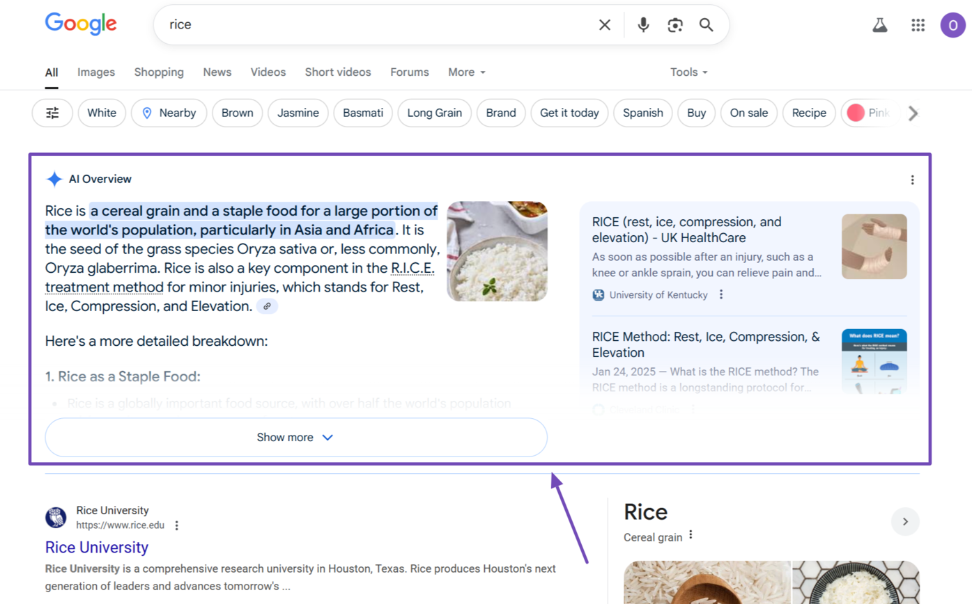 Sample of AI Overviews on Google Search results pages