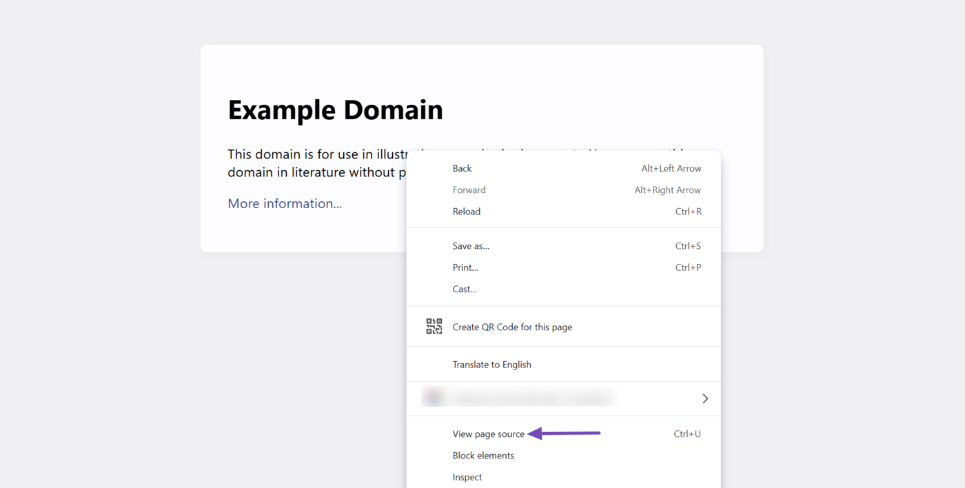 Click View Page Source