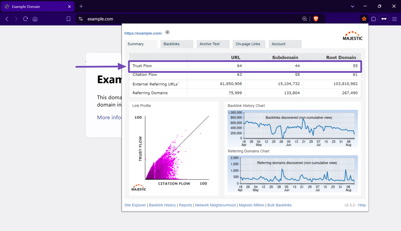 Overview of the Trust flow score