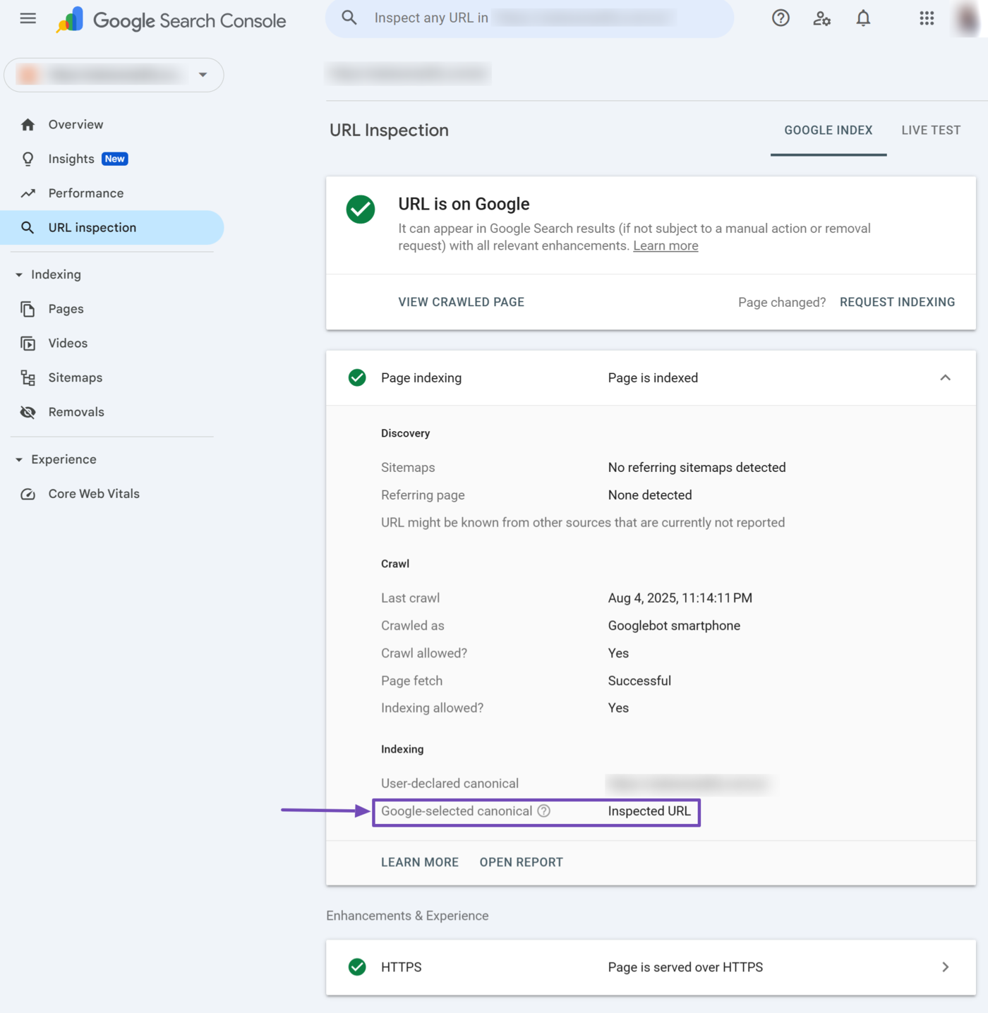 Sample of the Google-Selected Canonical report